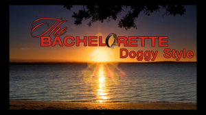 bachelorette doggy style